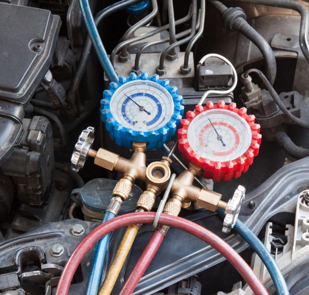 Service Image